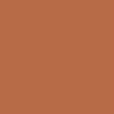 Red Earth Farrow and Ball