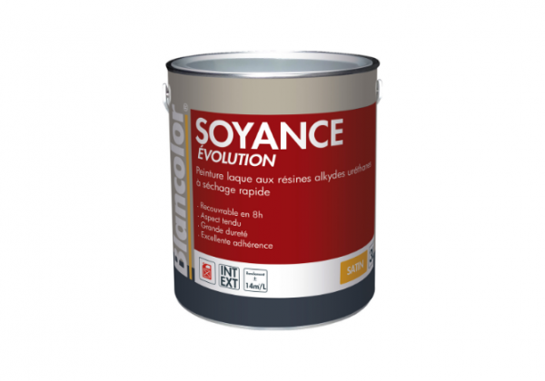 Pot de peinture laque, soyance 3 litres