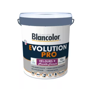 Peinture mur, velours, évolution pro velours