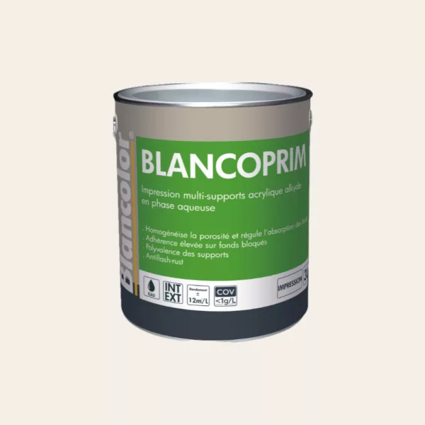 Peinture BLANCOLOR Impression 3L